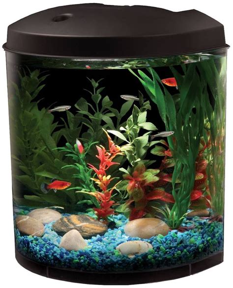 Freshwater Fish Aquariums And Habitat Small Fish Tanks Mini Aquarium