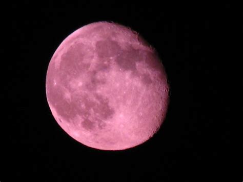 A Pink Moon By Prettypunkae On Deviantart