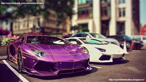 Car And Bike Fanatics Two Purple And White Lamborghini Aventador With A