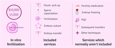 Whats Included In The Ivf Cost