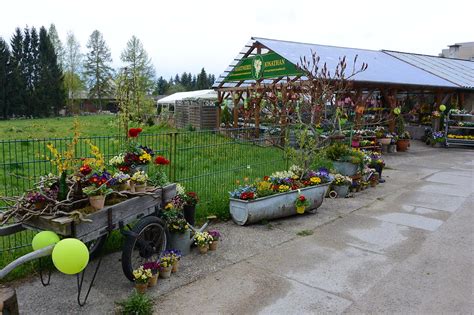 Blumengeschäft Und Friedhofsgärtnerei Mit Großem Angebot An Pflanzen