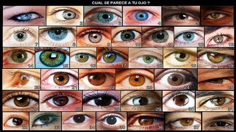 La Personalidad Ligada Al Color De Ojos Blog De Acua Formación