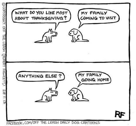 94 Hilarious Comics About Life With Dogs By Off The Leash Cartoon