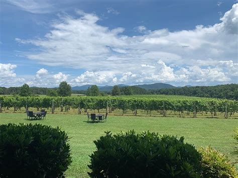 Afton Mountain Vineyards 2020 All You Need To Know Before You Go