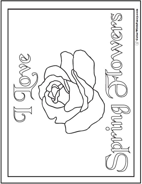 You can find coloring pages of roses on this print coloring special category and submitted on may 7th 2014. Spring flowers Coloring Page: 28+ Customizable Printables