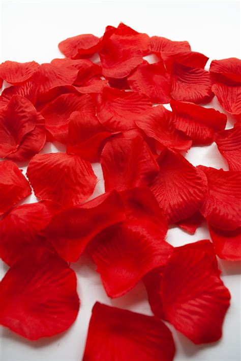 Where To Find Rose Petals For Your Next Diy Project Gardeningleave
