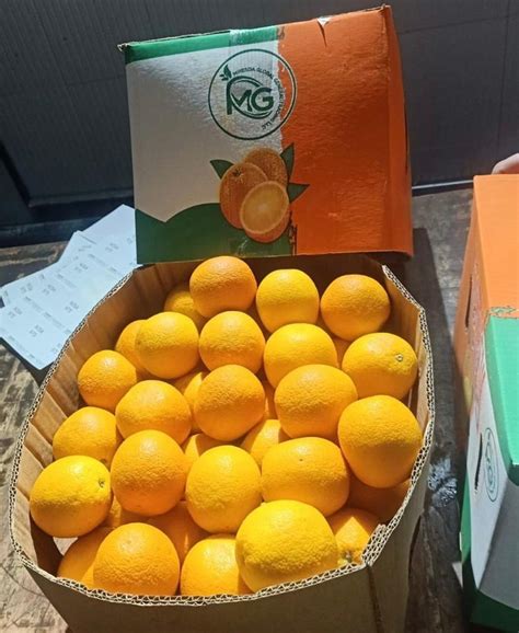 A Grade Maharashtra Fresh Valencias Oranges Ipm Packaging Size 20 Kg
