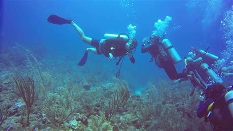 Belize Barrier Reef Scuba Dive 4 Youtube