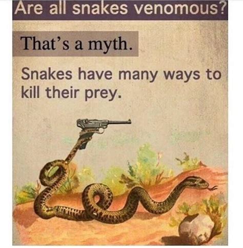 Theres A Snake In My Boot Memes