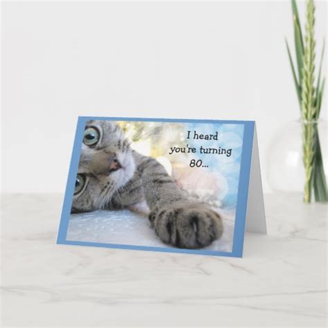 Fun 80th Birthday With Cat Animal Humour Card Zazzleca