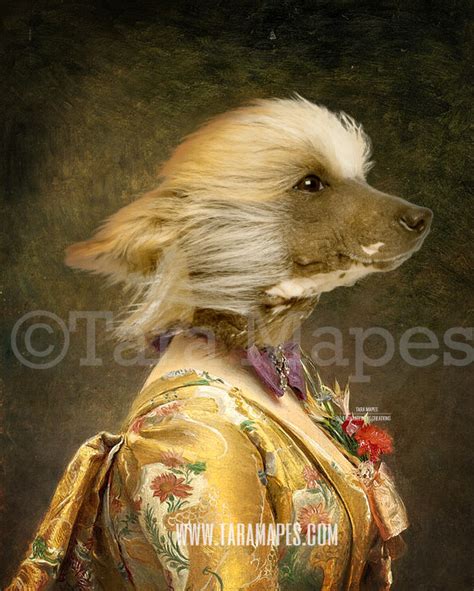 Download Pet Portrait Female Body PSD Template - Pet Painting ...