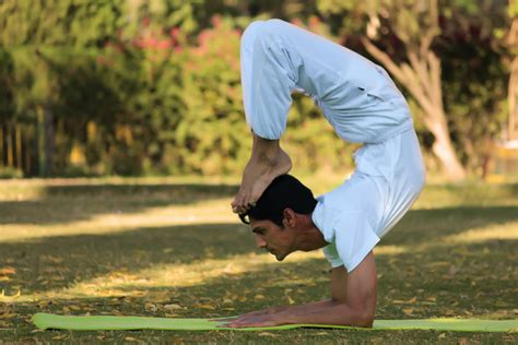 Understanding The Different Types Of Yoga In India India Someday Travels