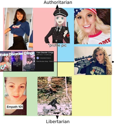 The Im Not Like Other Girls Political Compass Politicalcompassmemes