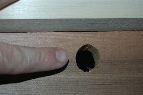Moreover, the upper entrances also help ventilate the hive in winter. File:An entry hole for a Top Bar Bee hive, May2012.jpg