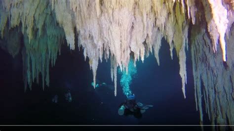 Worlds Largest Underwater Cave Discovered In Depths Of Mexico
