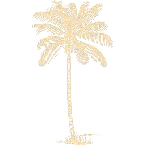 Palm Tree Png Svg Clip Art For Web Download Clip Art Png Icon Arts