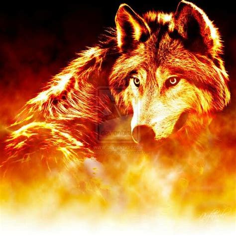 Fire Wolf Wolf Pictures Wolf Spirit Animal Wolf Wallpaper