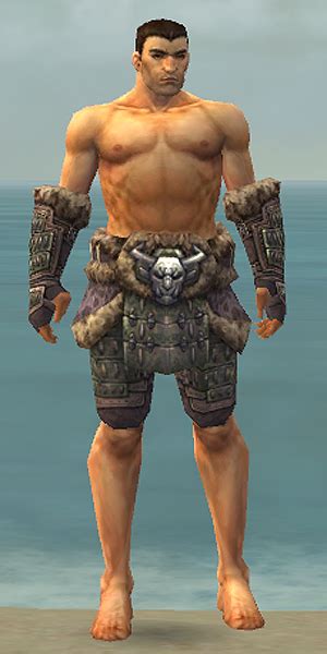 Gallery Of Male Warrior Charr Hide Armor Guild Wars Wiki Gww