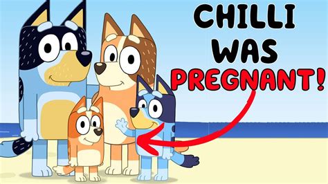 chilli was pregnant 😱 this is not bluey fan art youtube