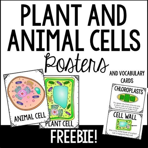 We did not find results for: Plant and Animal Cells Science Poster and Vocabulary Cards ...