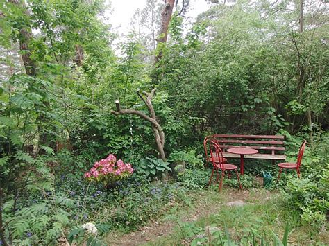 We did not find results for: jahreszeitenbriefe: (M)ein wilder Garten ´(28) - Mairückblick