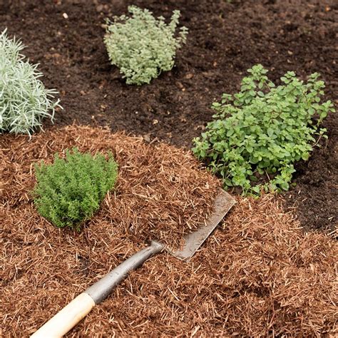 Buy Strulch Organic Garden Mulch Delivery By Crocus