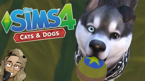 The Sims 4 Cats And Dogs Gameplay First Look Youtube