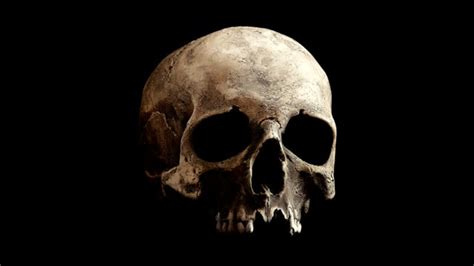Best Skulls Stock Videos And Royalty Free Footage Istock