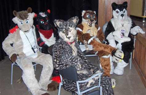9 Questions About Furries You Were Too Embarrassed To Ask Vox