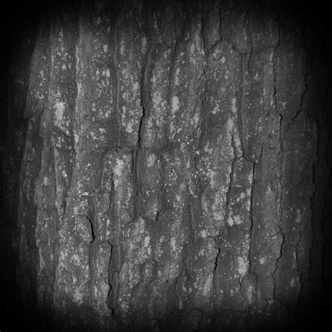 Zbrush Wood Texture Alpha - Wood Texture Collection