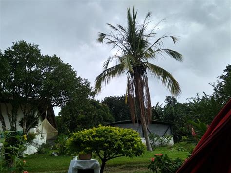 Compartir en facebook compartir en whatsapp compartir en twitter. Tolima Colombia | Tolima, Colombia