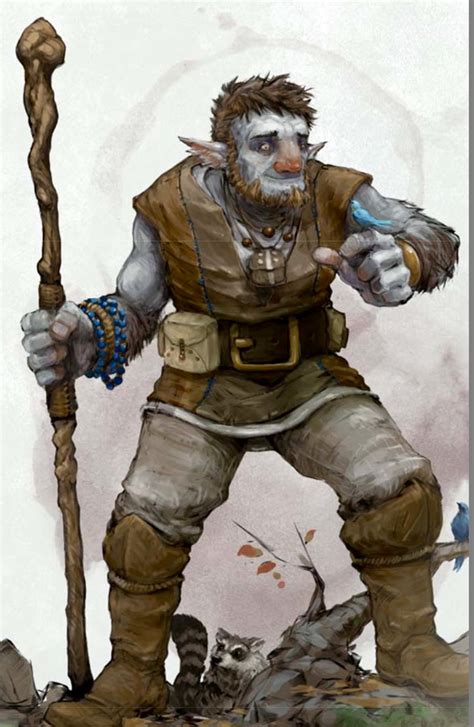 5e Firbolg Scout Or Ranger 79 Tall Graphic