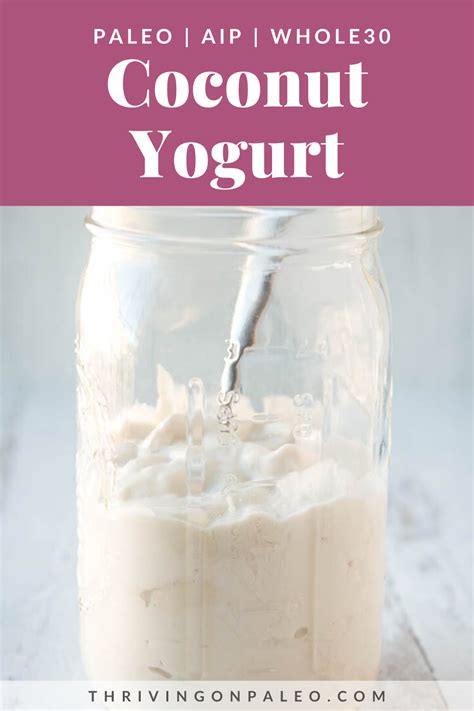 Coconut Yogurt Paleo Whole Aip Recipe Paleo Paleo Recipes