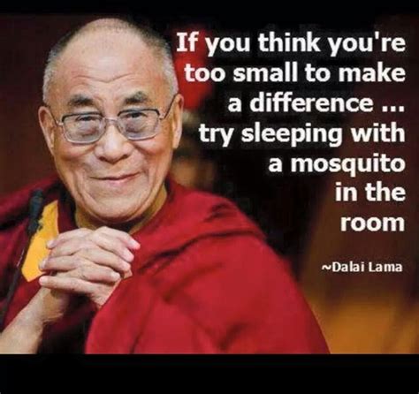 If you think you are too small to make a difference, try sleeping with a mosquito. Mosquito | Buddhist quotes, Wisdom quotes, Buddhism quote