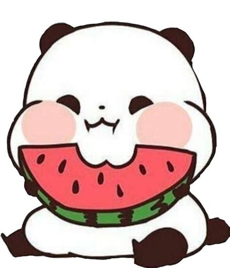 Panda🐼 Watermelon Cute Panda Wallpaper Iphone Wallpaper Cat Cute