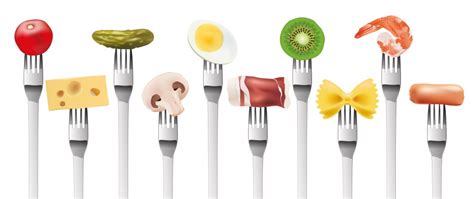 Dieta Hipocaloricas Reducción De Calorias Y Dieta Equilibrada