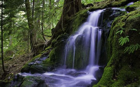 Beautiful Forest Waterfall Mac Wallpaper Download Allmacwallpaper