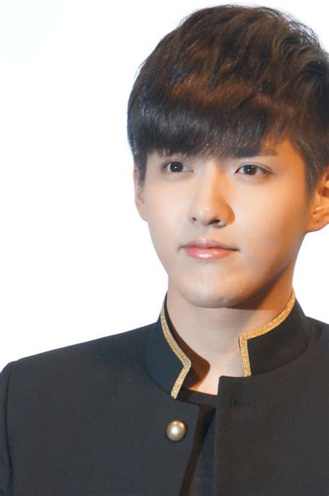 Kris wu (wu yifan)'s ideal type. KRIS  WU YIFAN 