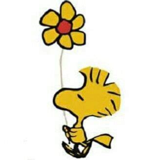 Snoopy Woodstock Snoopy Drawing Woodstock Peanuts Snoopy And