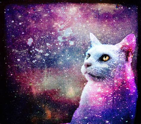 Galaxy Cat By Skinagainstface On Deviantart