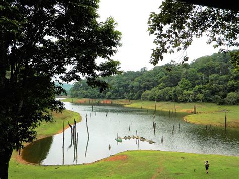 A Guide To Periyar Wildlife Sanctuary Thekkady Updated 2023 Trip101