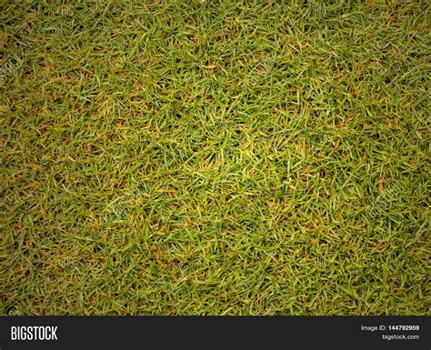 Grass Texture Golf Image And Photo Free Trial Bigstock