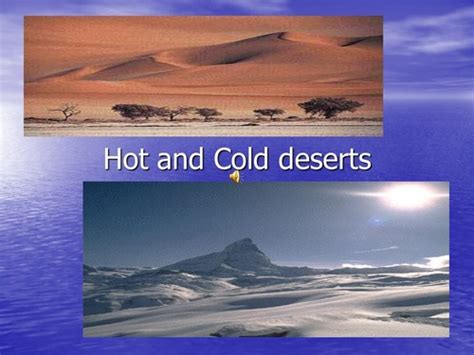 The Desert Plant And Animal Adaptations Flashcards Quizlet