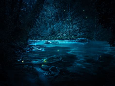 Forest 4k Wallpaper River Night Dark Magical Crescent