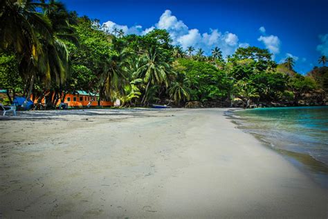 the top 10 things to see and do in providencia colombia