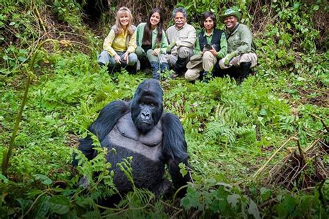 3 Days Uganda Gorilla Flying Safaris In Uganda Trip East African
