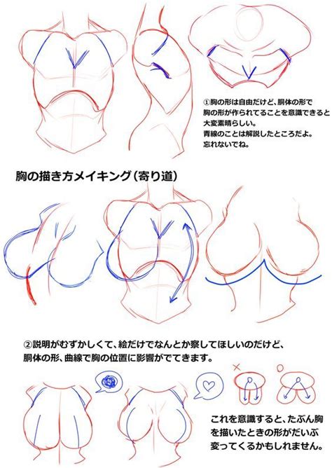 Drawing Female Body Human Anatomy Drawing Figure Drawing Reference