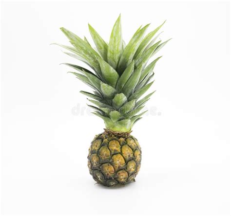 Single Whole Pineapple With Leaves Isolated On White Background Stock