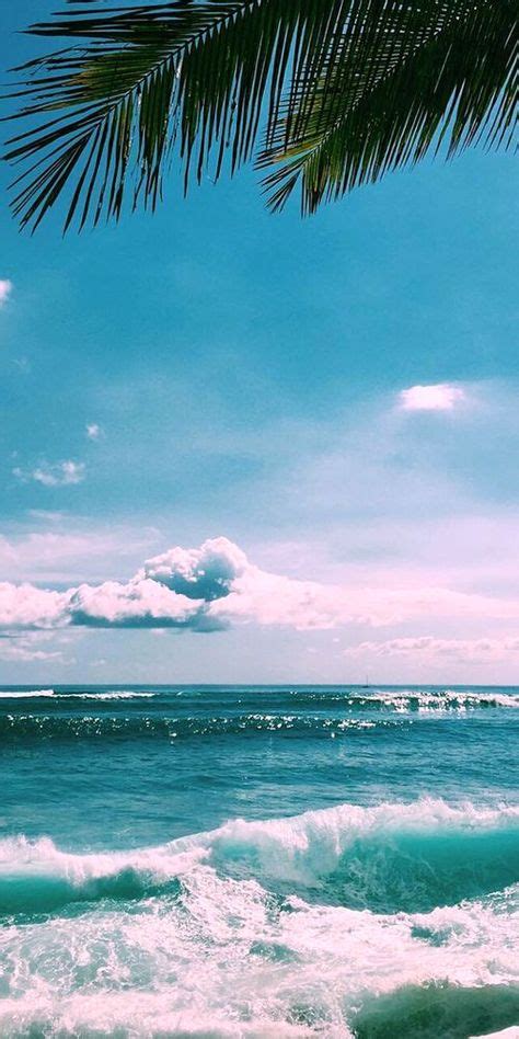 135 Best Ocean Vibes Images In 2020 Ocean Surfing Summer Vibes