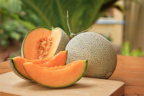 8 Different Types Of Cantaloupes